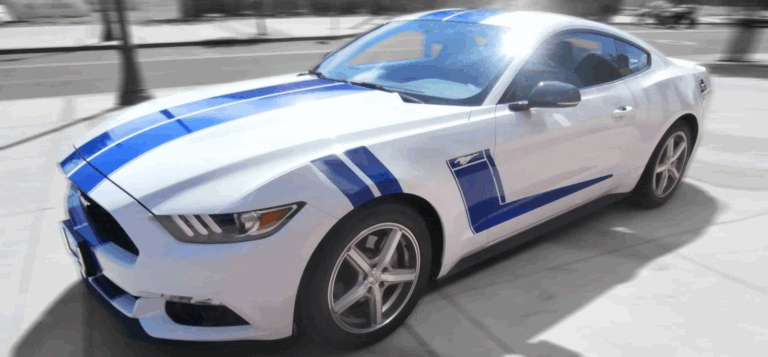 Classic Mustang Racing Stripes by Grafics Unlimited